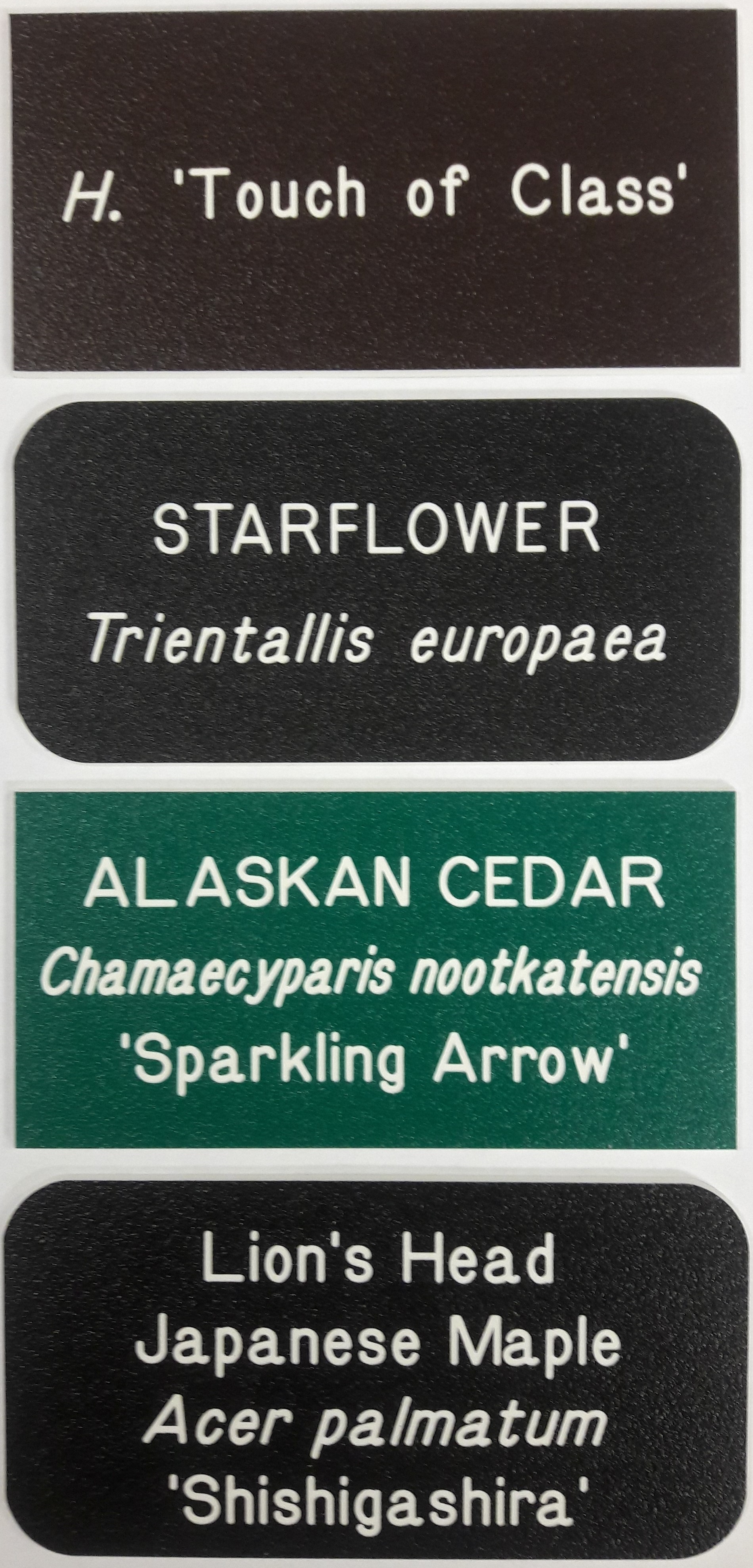 for seeds 29 Labels Laser engraved vegetable allotment labels 